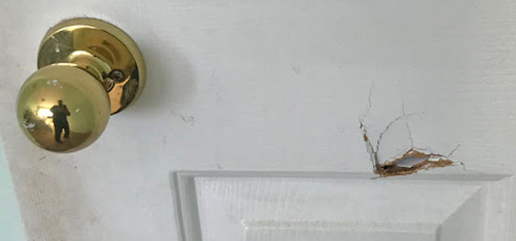 interior door hole repair Tiburon