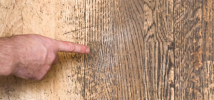 Wood Door Scratch Repair in Tiburon